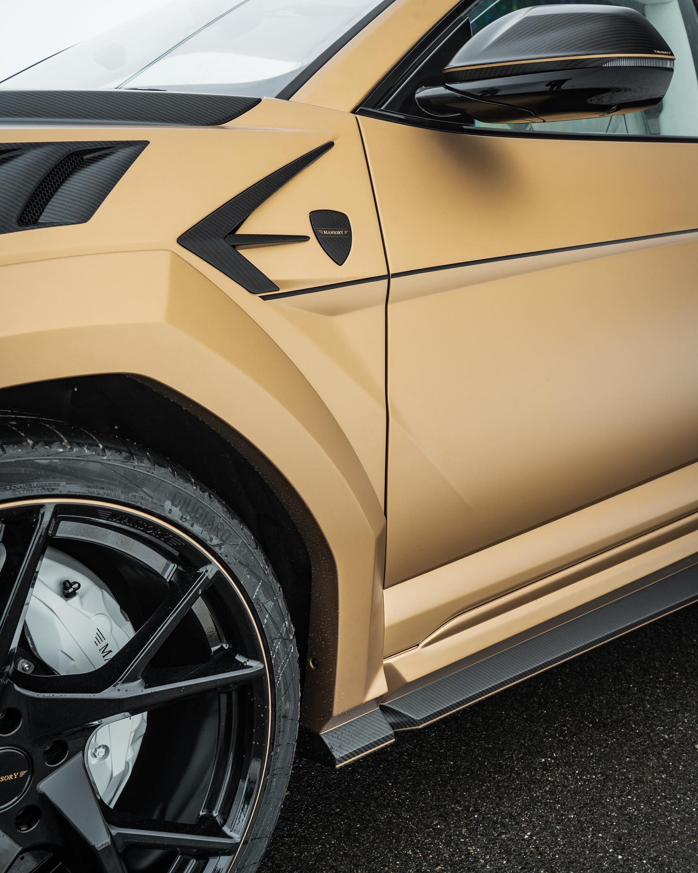 Bronzo Zenas的MANSORY Venatus的详细信息